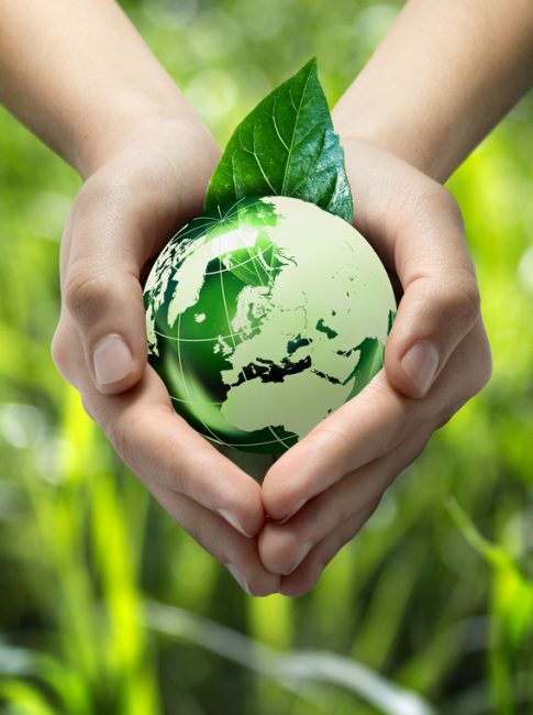 2020-01-24-10-56-18-sustainability-practices